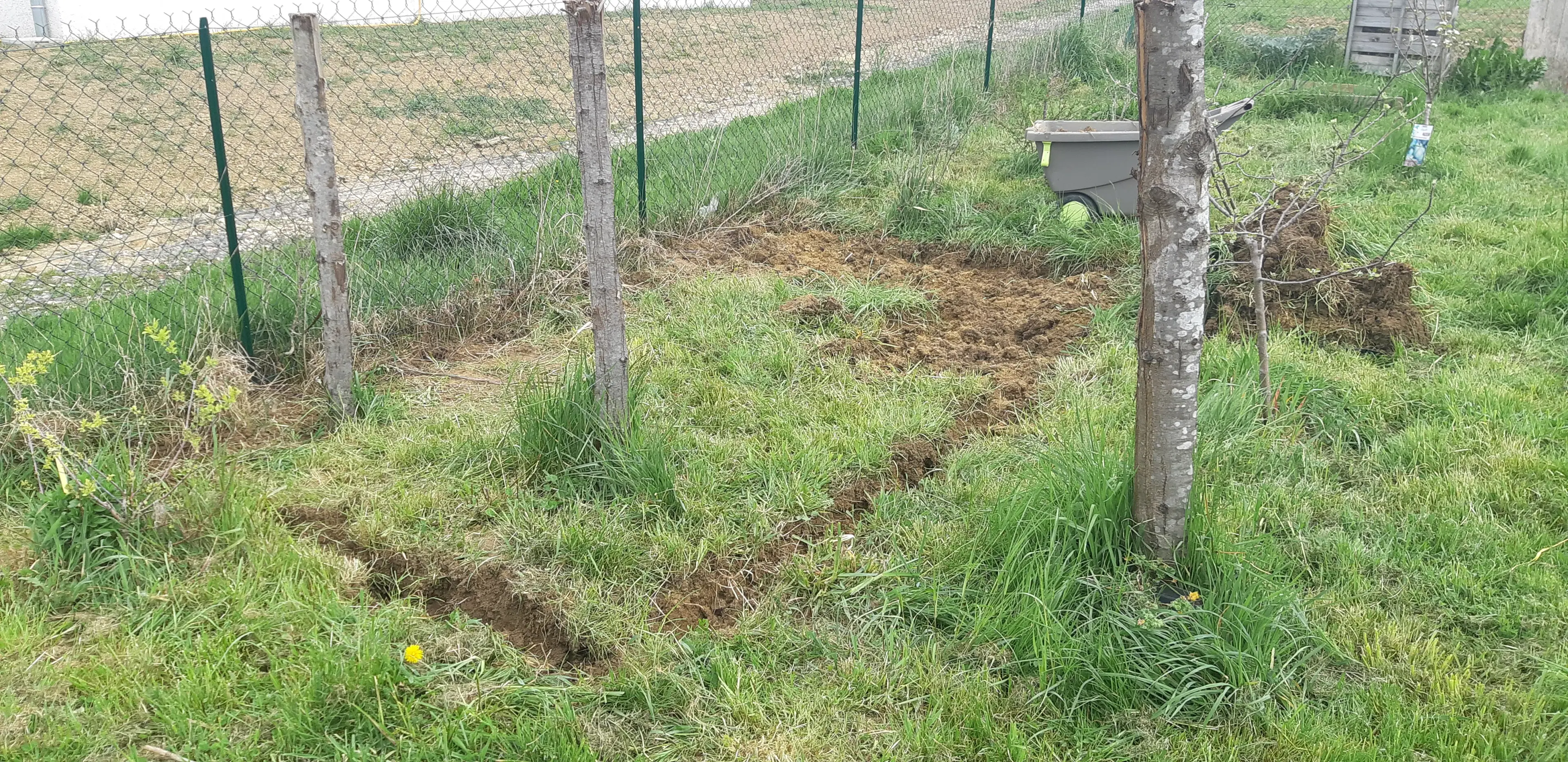 Le jardin avant création du bassin, terrain creusé