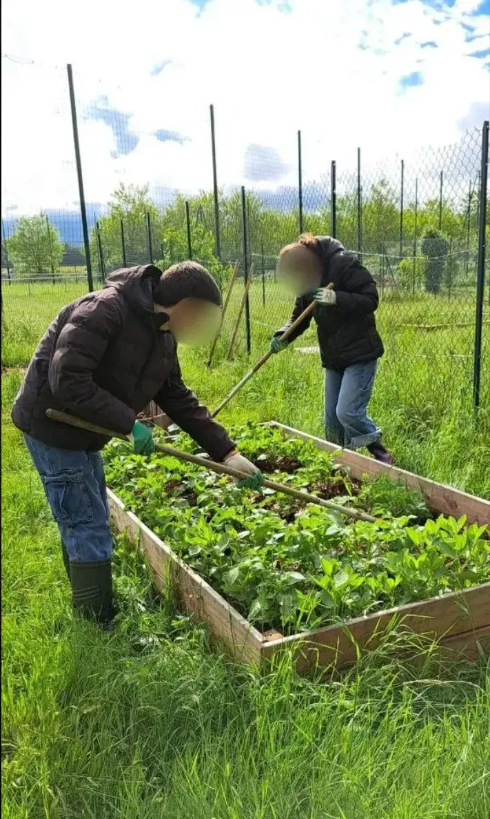 Création de structures de jardinage à l'école