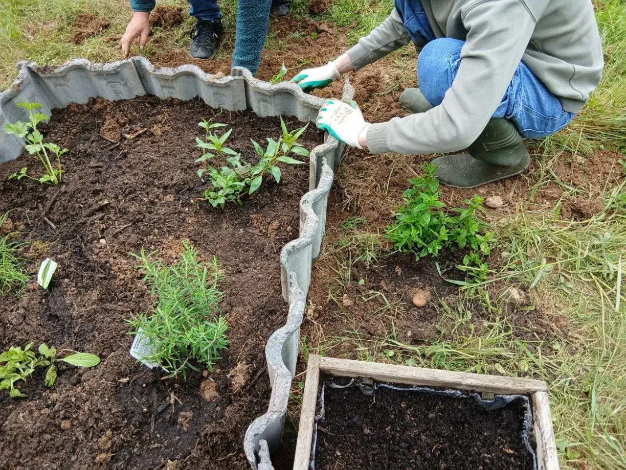 Atelier potager et biodiversité à Bourg-en-Bresse
