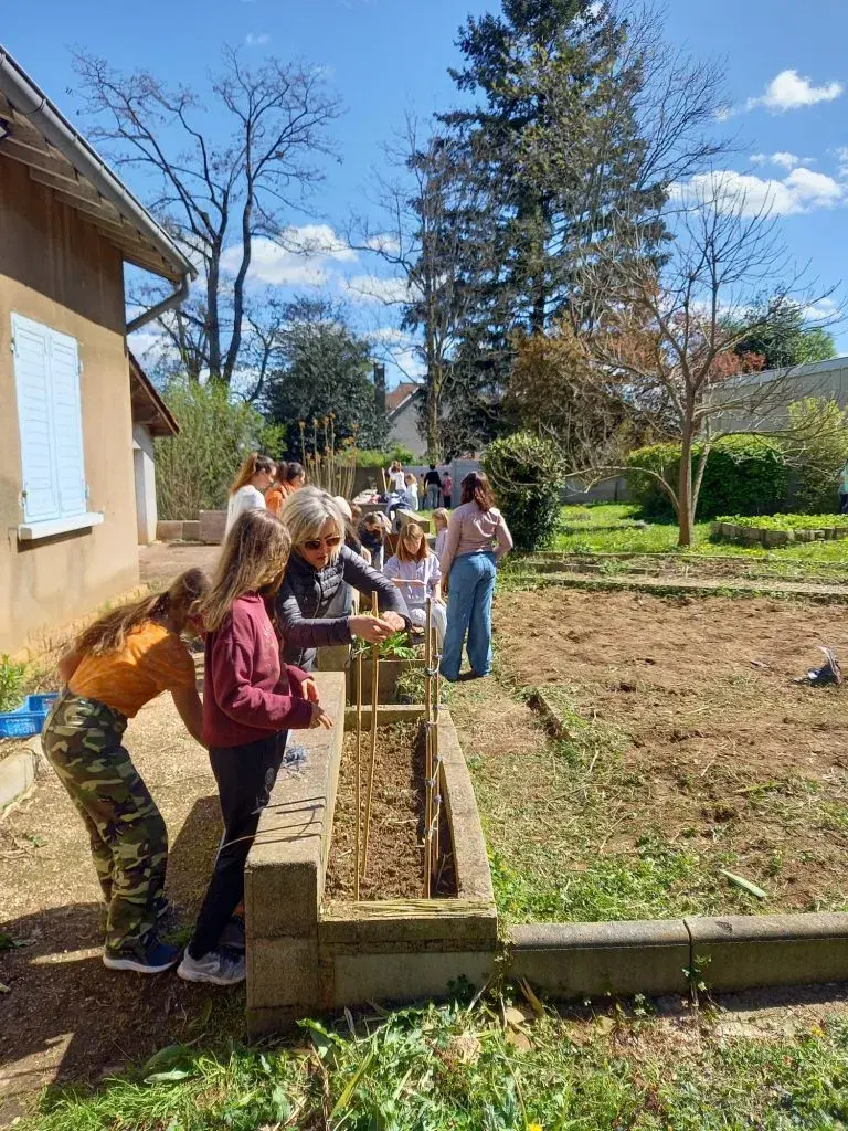 Atelier biodiversité et potager à l'école