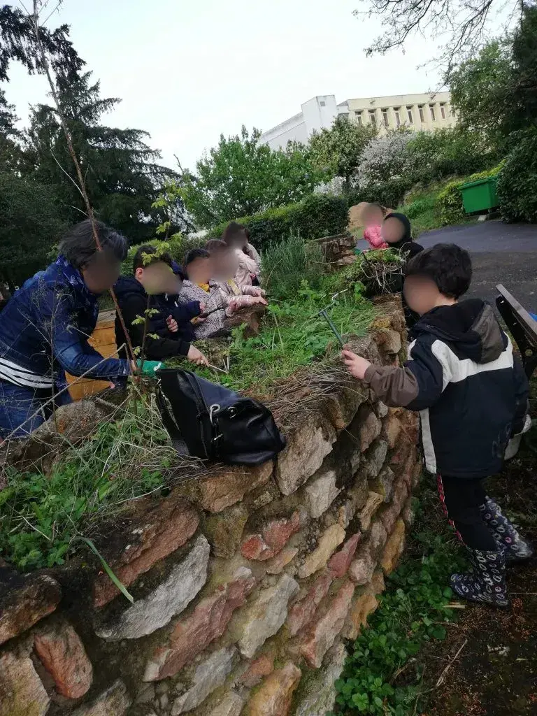 Semis et plantations avec les enfants