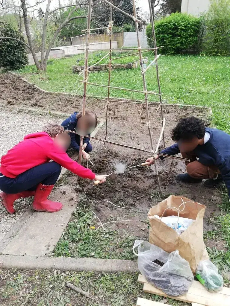 Élèves participant activement au potager pédagogique