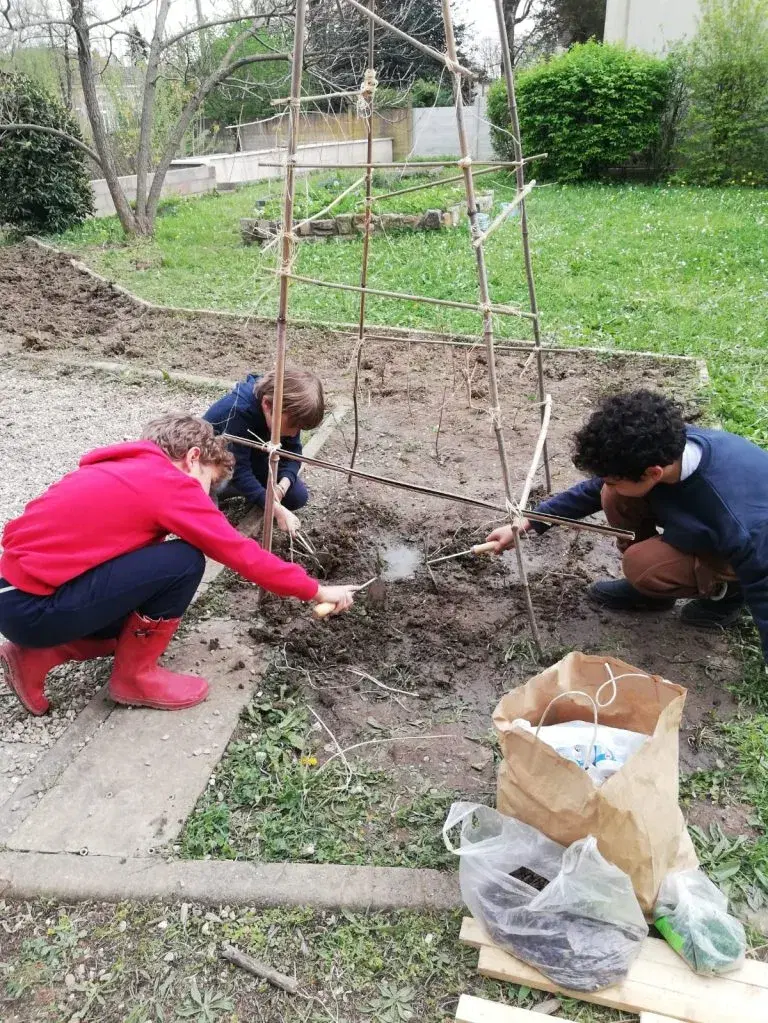 Installation de structures et plantations au potager
