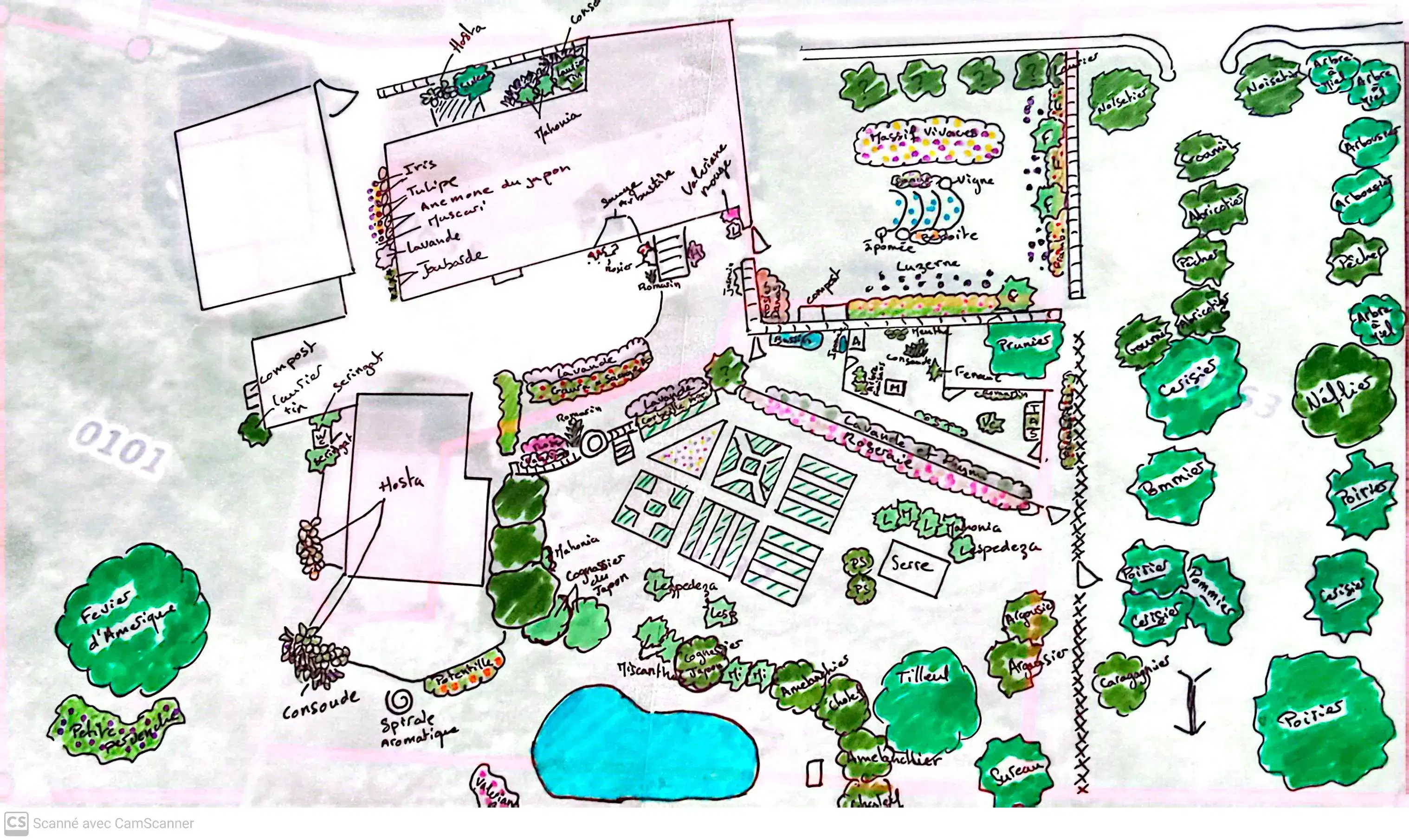 Plan d'aménagement complet du terrain dessiné depuis la vue cadastrale